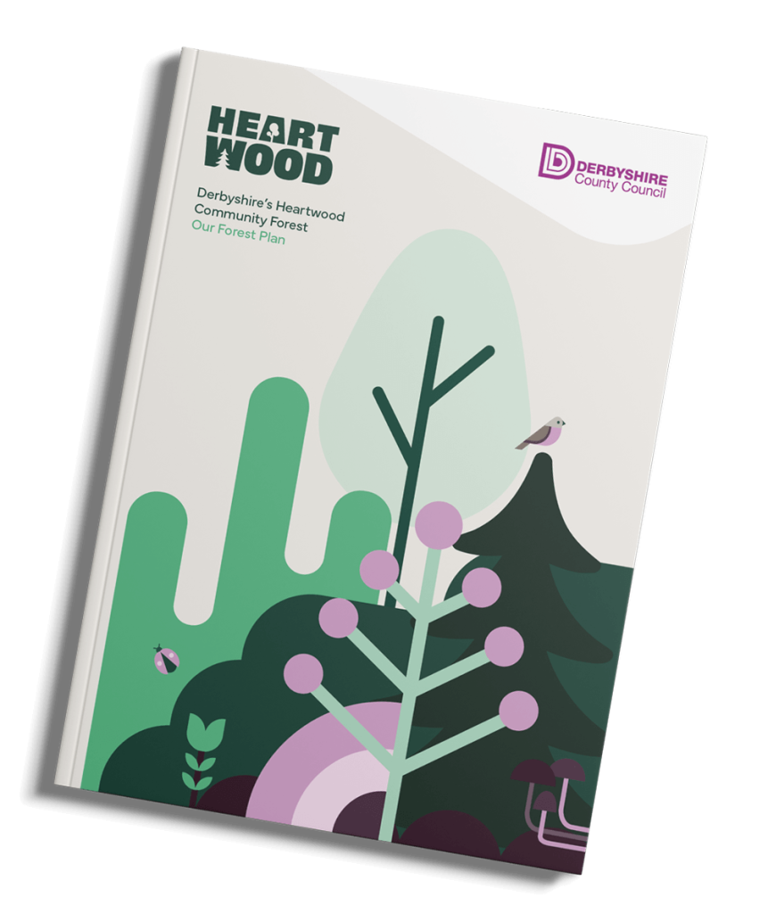 forest plan cover