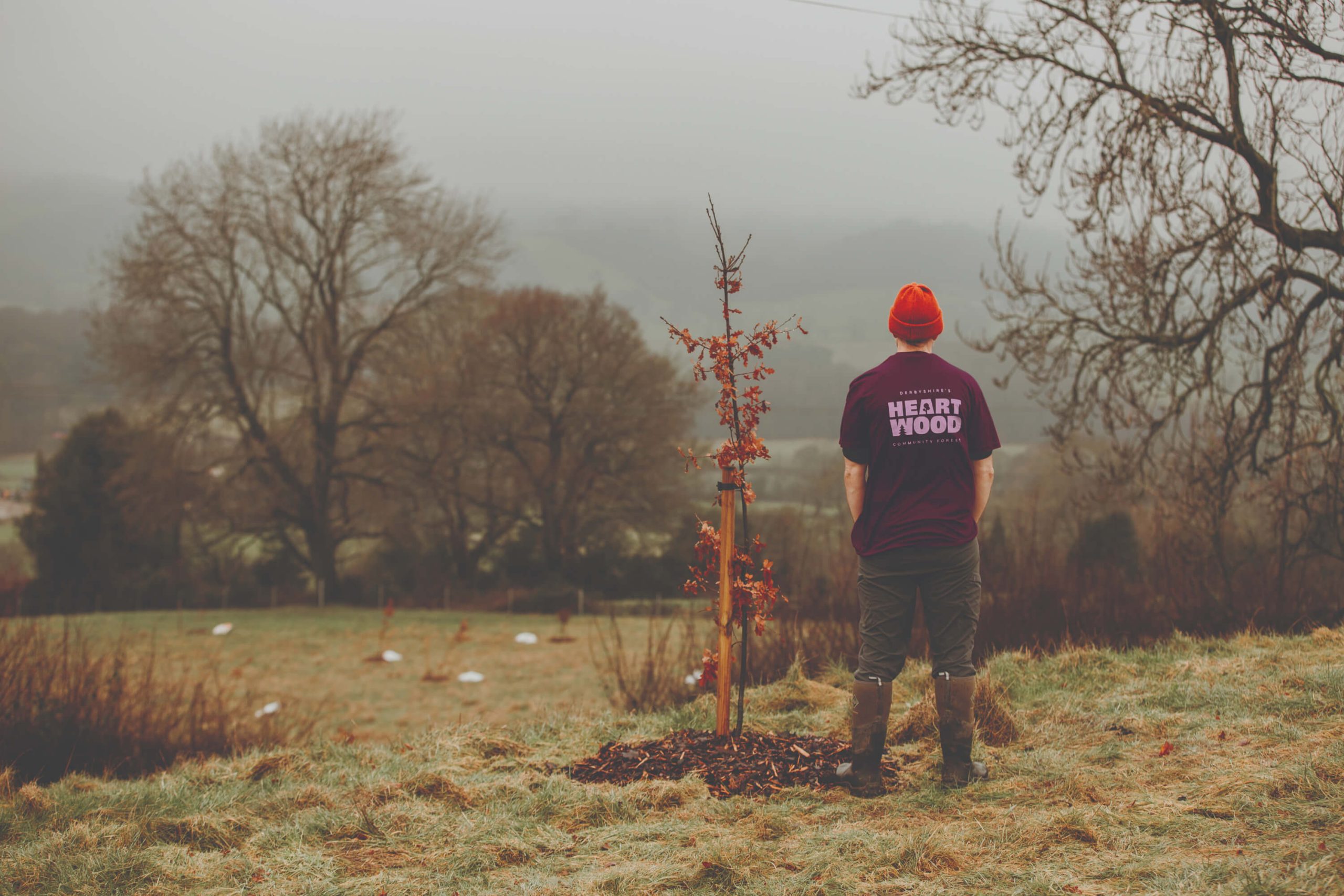 grant to plant