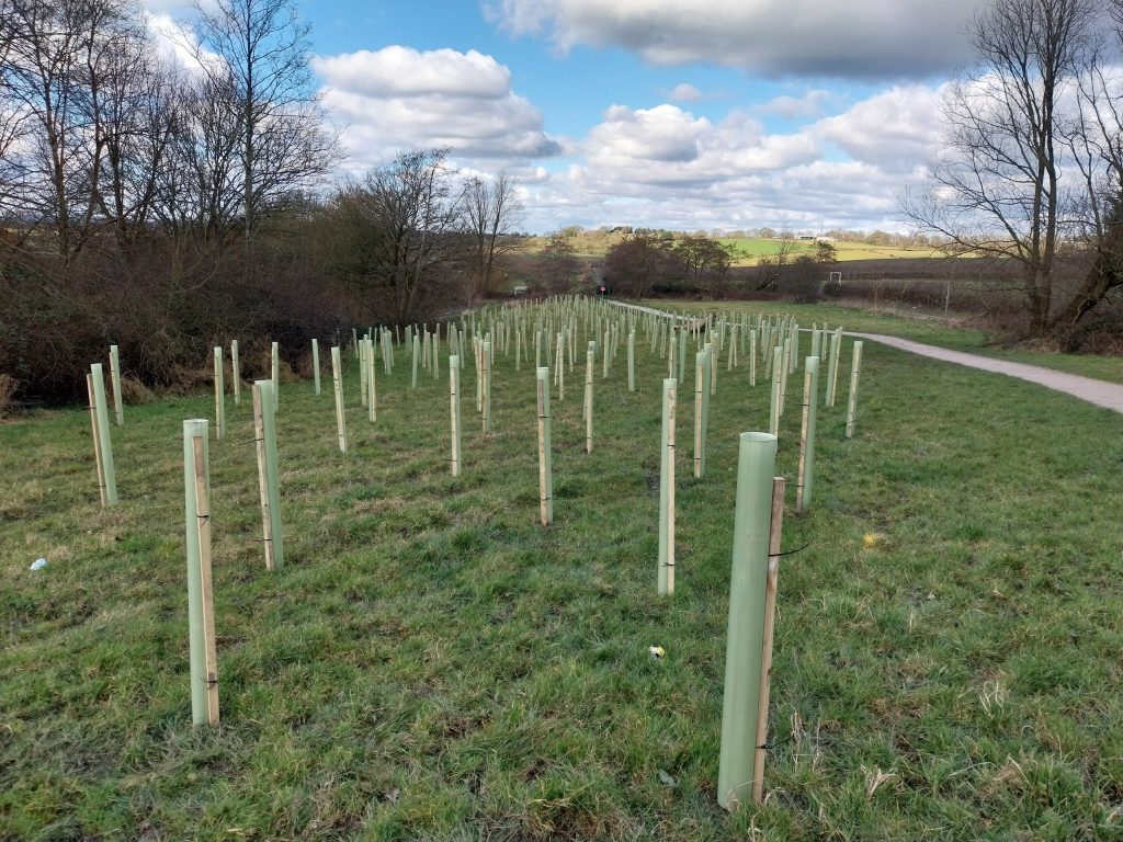 Tibshelf Ponds and Greenway - Heartwood Community Forest