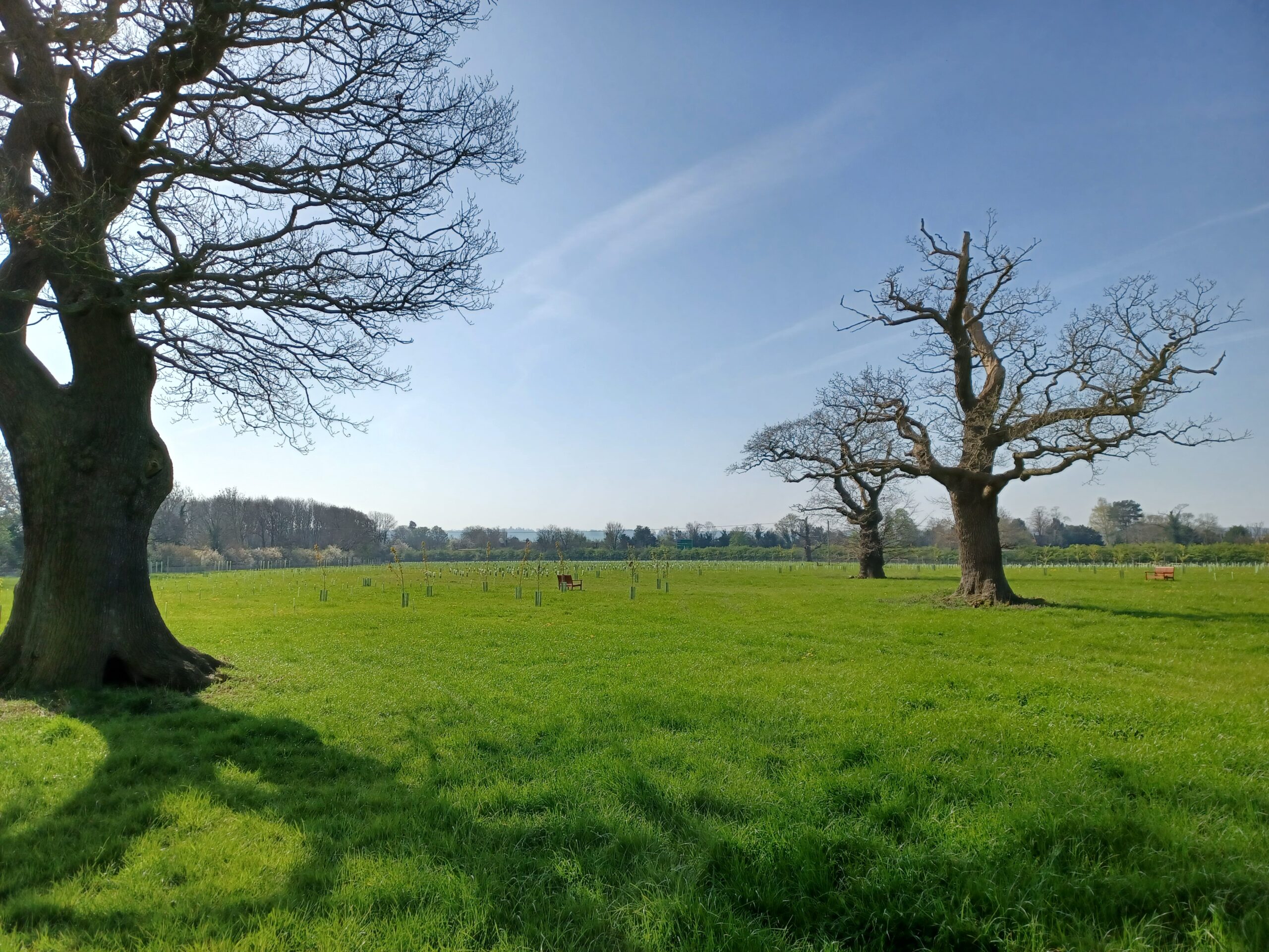 Sudbury Hall, National Trust