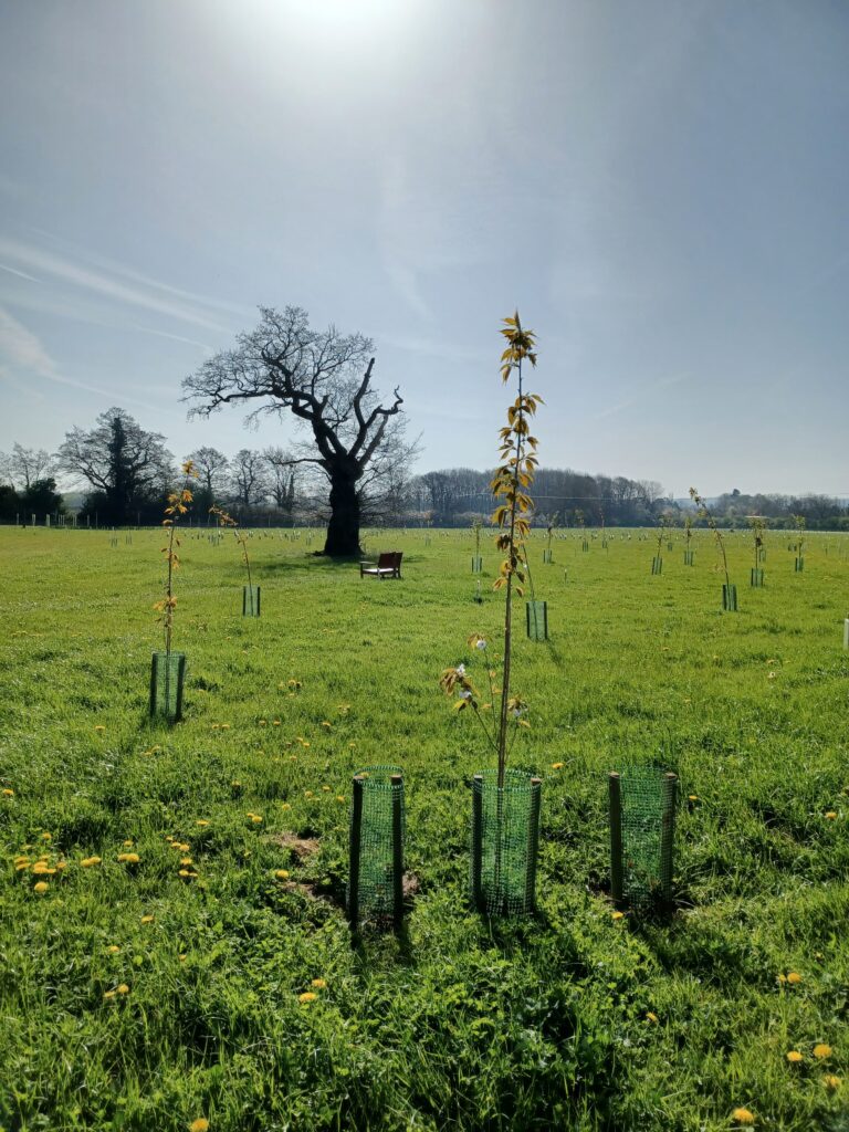 Sudbury Hall 2