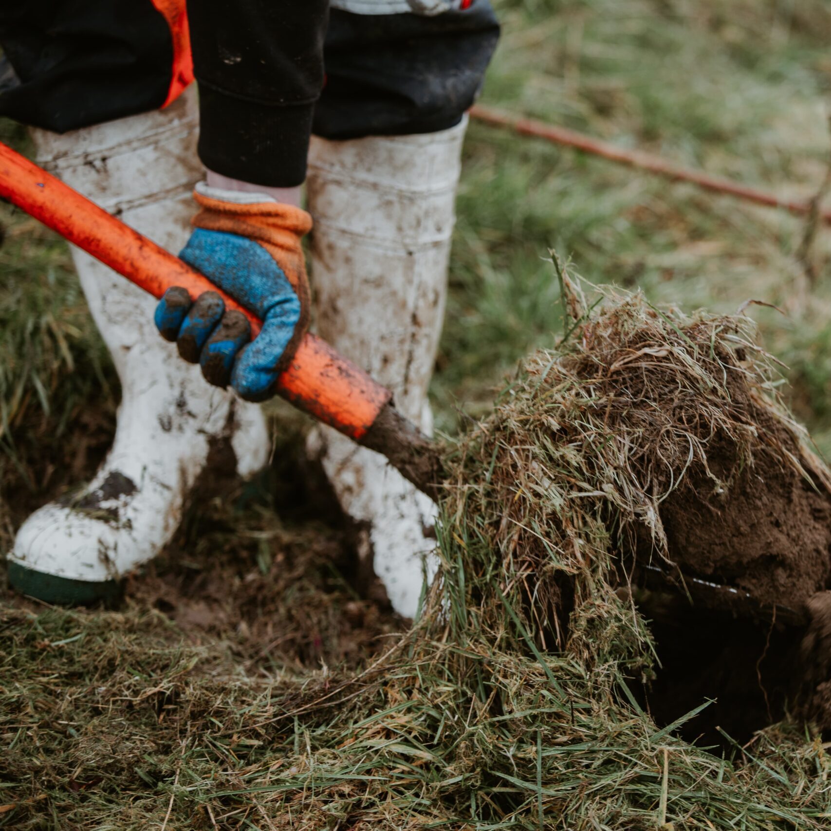 Heartwood volunteers